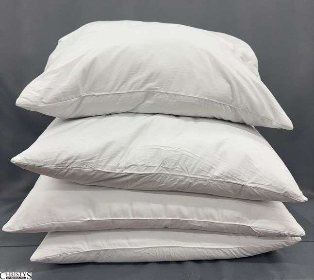 4 - 24" x 24" Pillow Inserts image