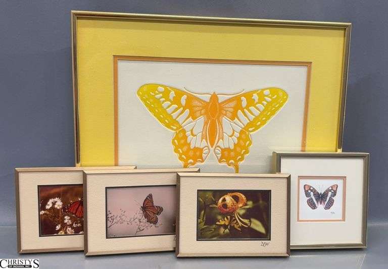 5 Signed Butterfly Lithograph and Watercolor - 17" x 14" of largest image