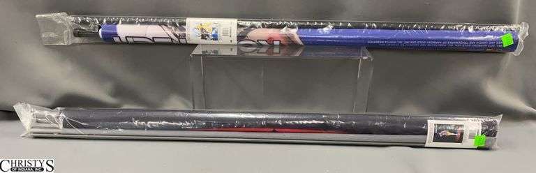 2 Rolled Robotech 2015 Harmony Gold 32x48" Lynn Minmay image