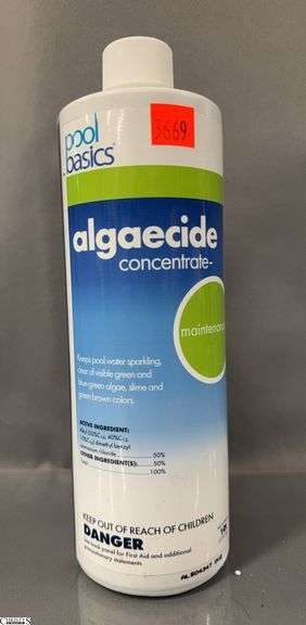 Pool Basics Algaecide Concentrate 32oz, Store Returns image