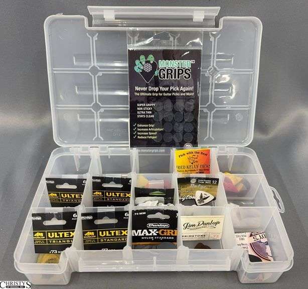 Guitar and Other Picks in Organizer 11x7x3 image