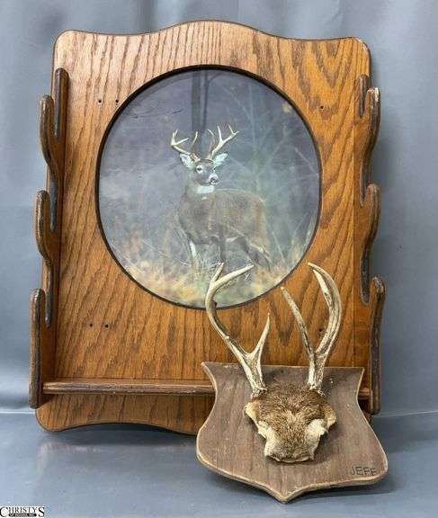 Wall Mount Gun Rack and Taxidermy Deer Antlers - 24" x 28" of gun rack image