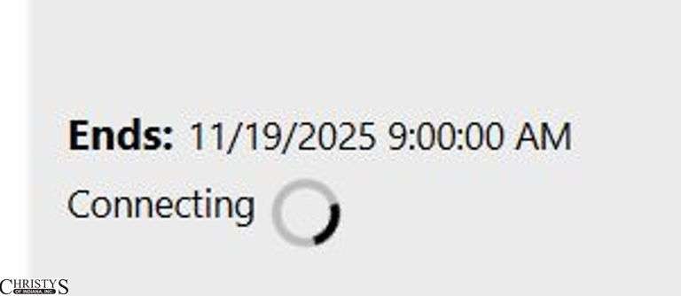 Website is working correctly. All bids are being accepted. Please continue to bid as normal image