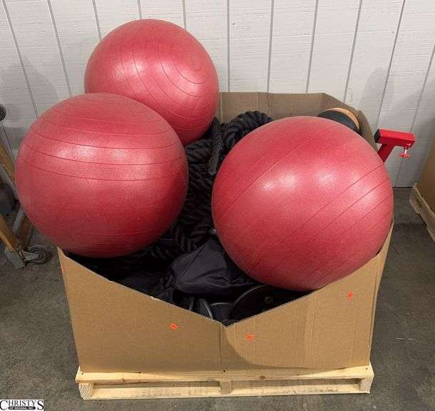 Small Gaylord With Exercise Balls, Yoga Balls, Dumbbells, Battle Ropes, Medicine Balls, Rubber Stands image