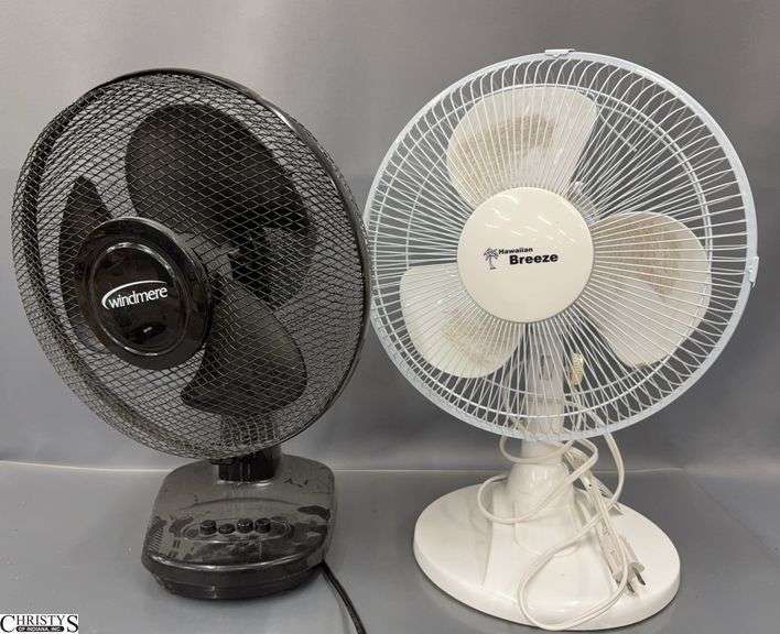 Windmere and Hawaiian Breeze Fans - 19" of tallest image