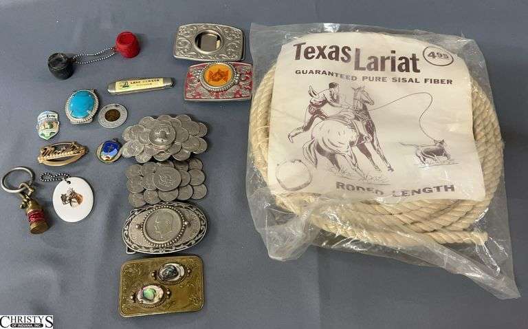 Assorted Western Style Belt Buckles, Tourist Trinkets, Texas Lariat Rope - 4" of biggest buckle image