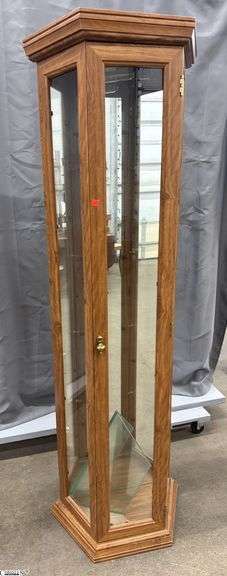 Single Door Lighted Curio Cabinet 19x12x70 image
