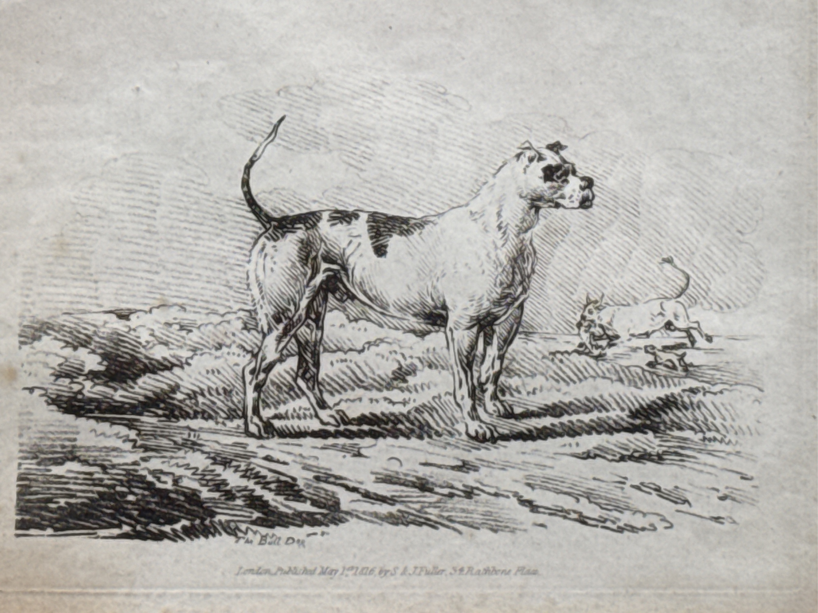 Lot image 5