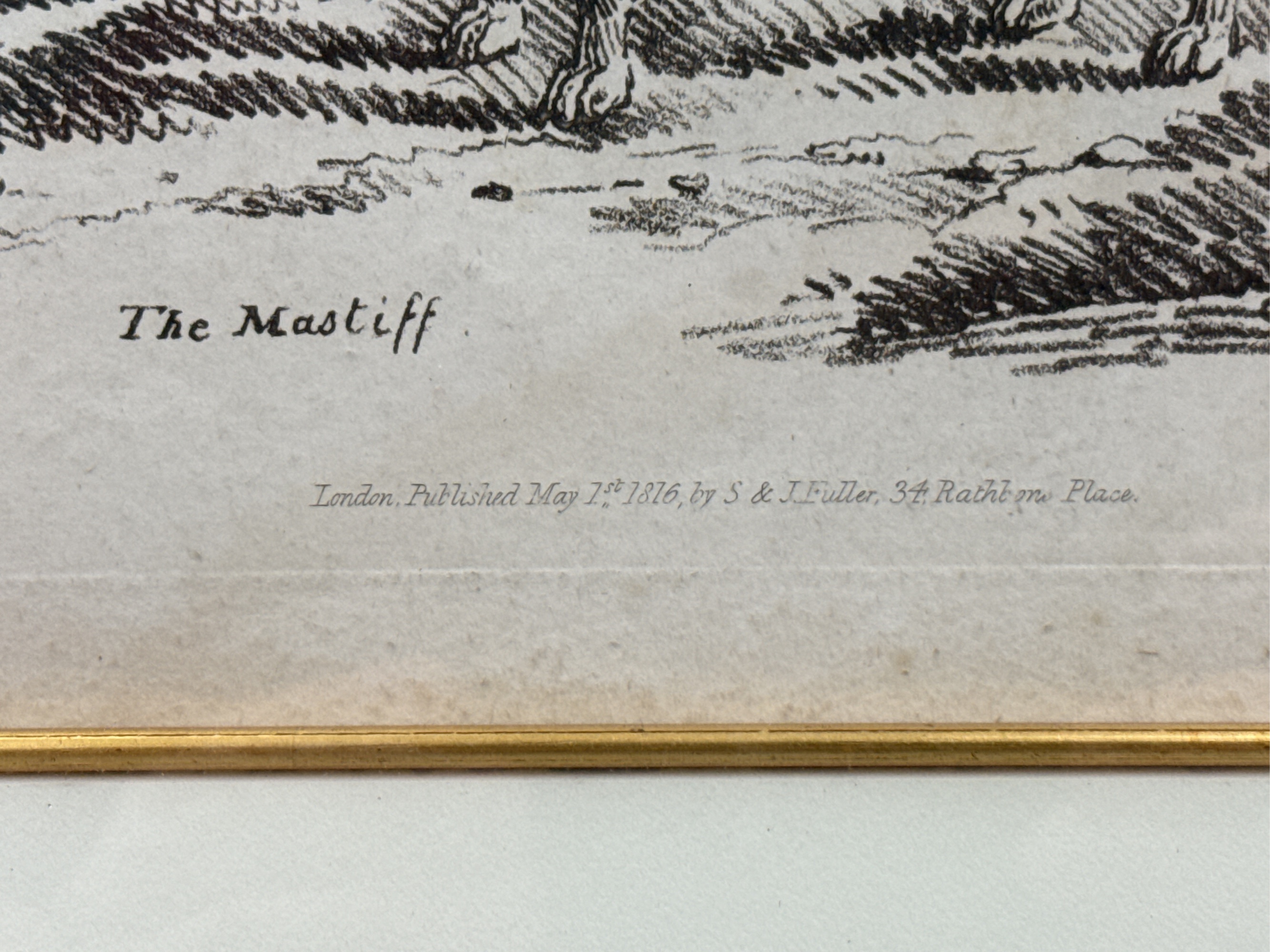 Lot image 10