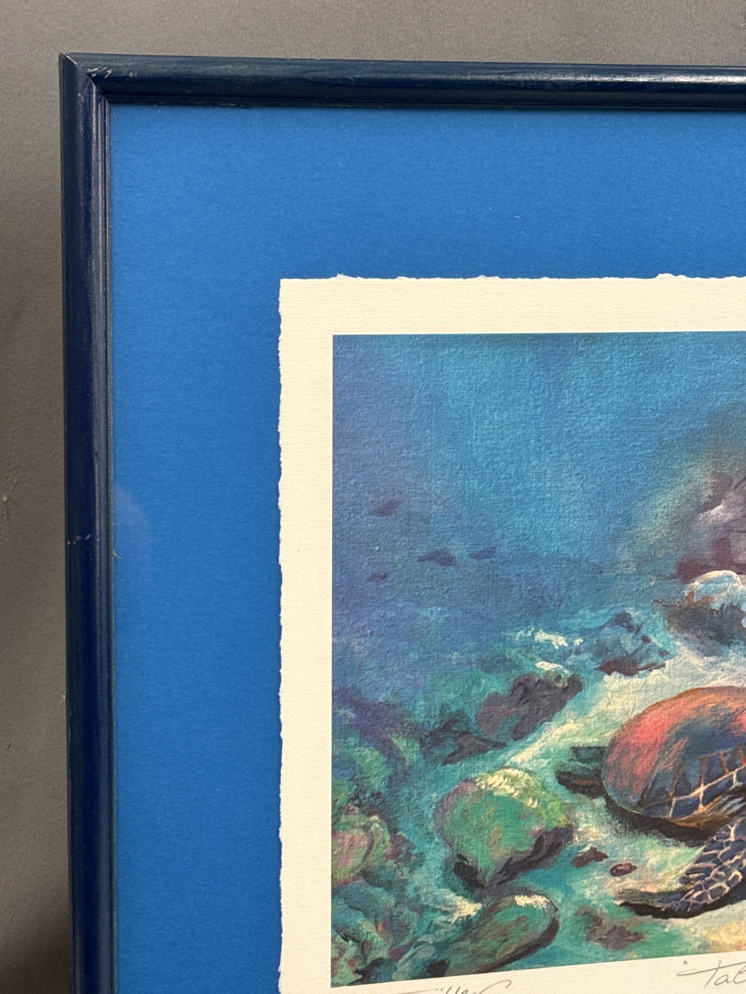 Lot image 7