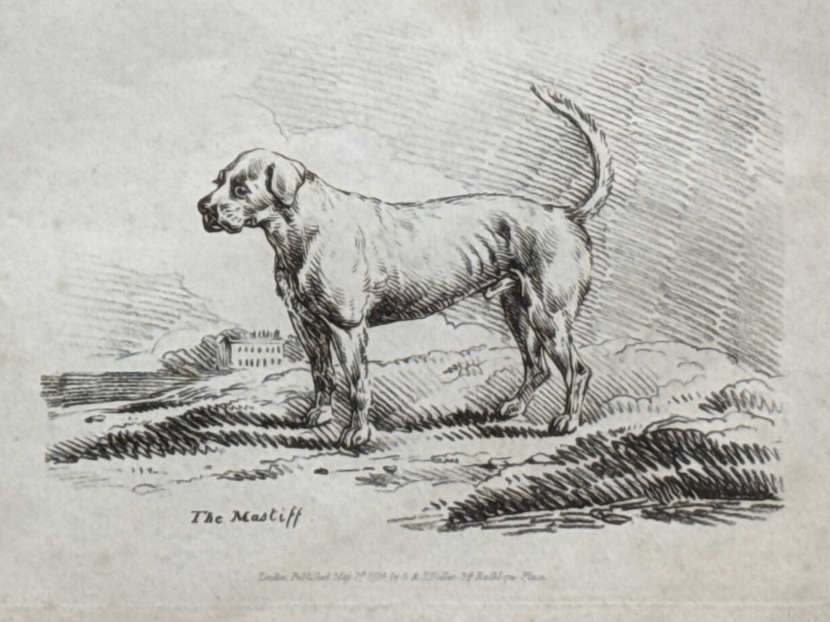 Lot image 3