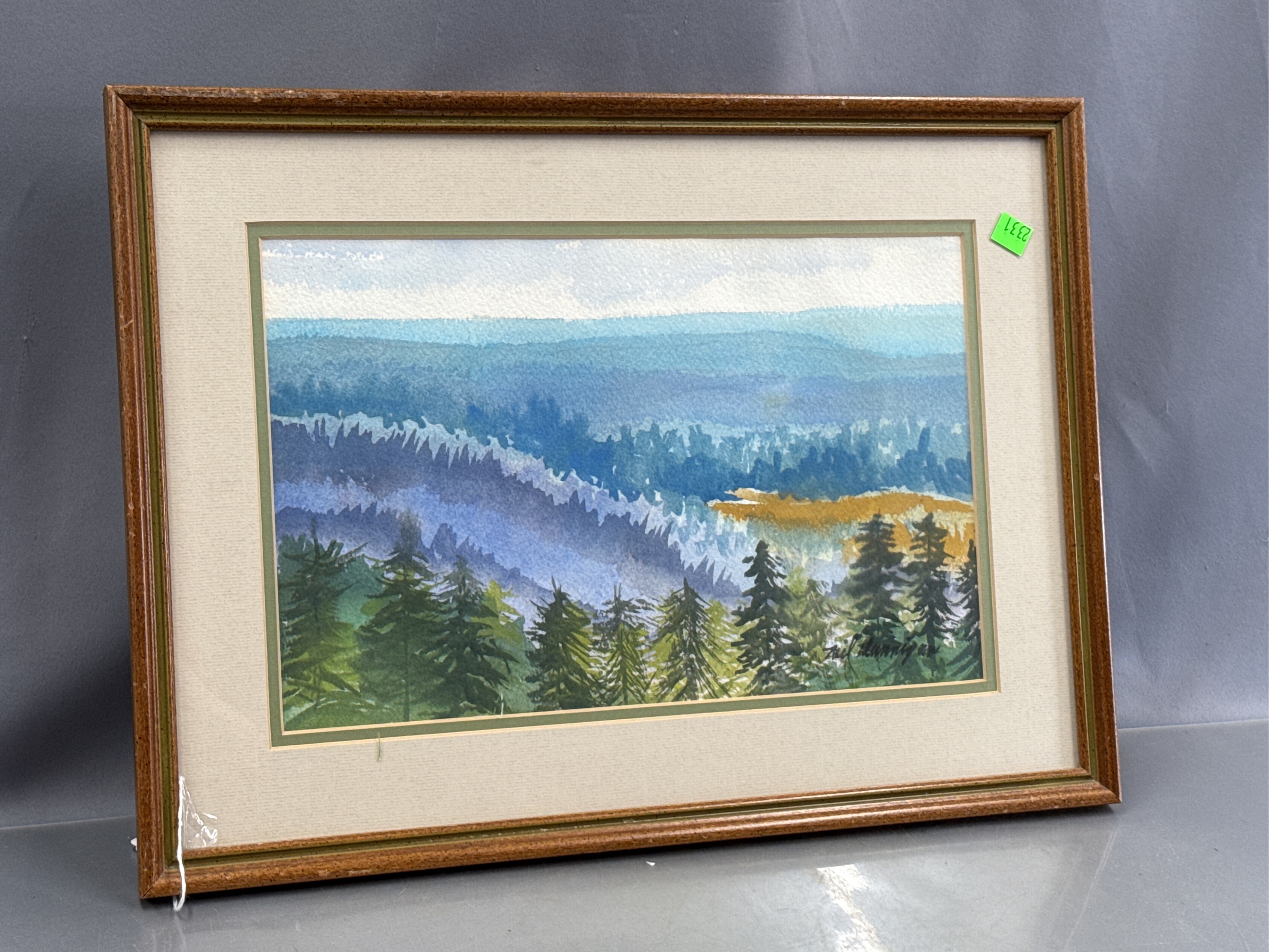 Lot image 10