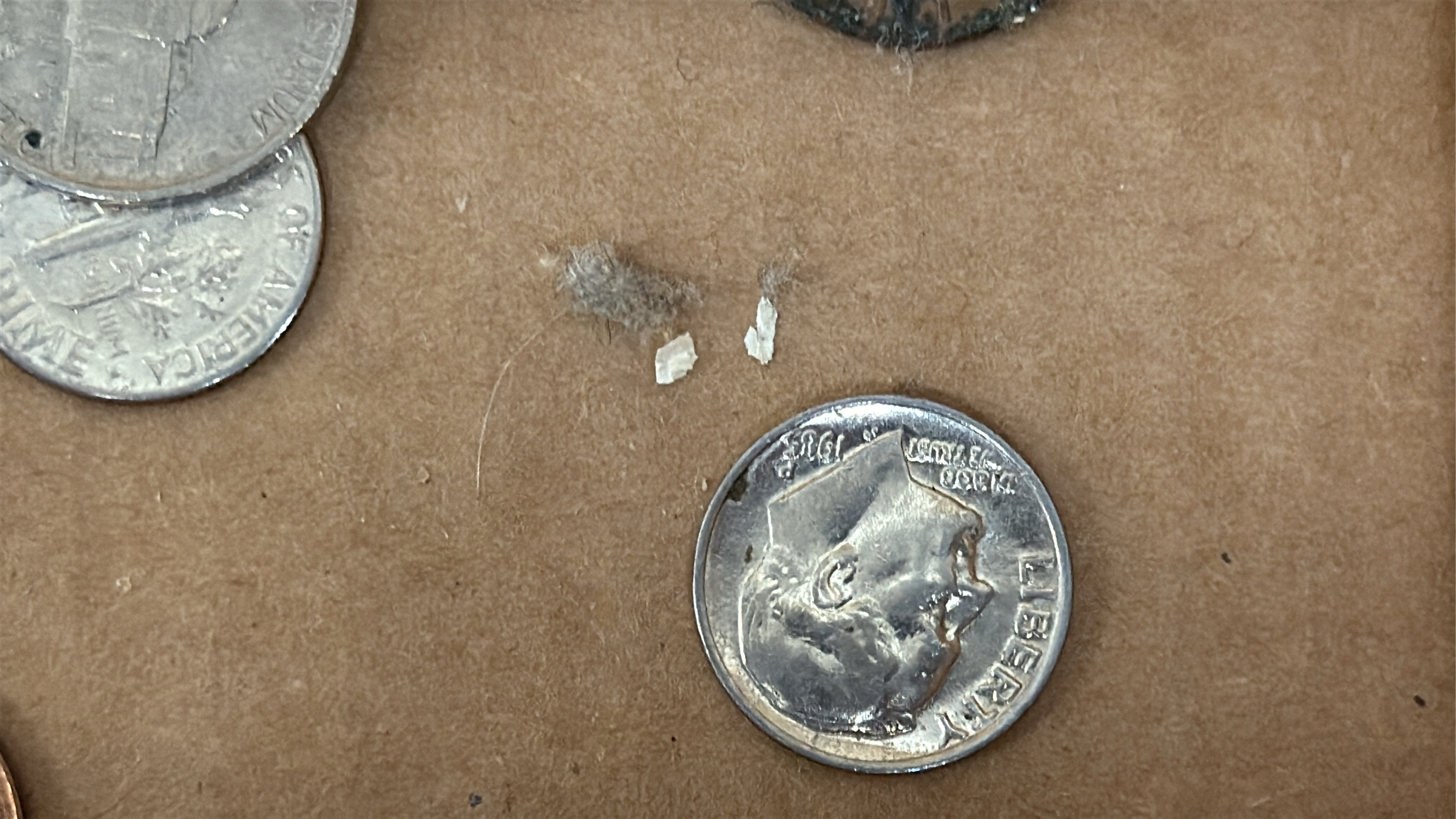 Lot image 11