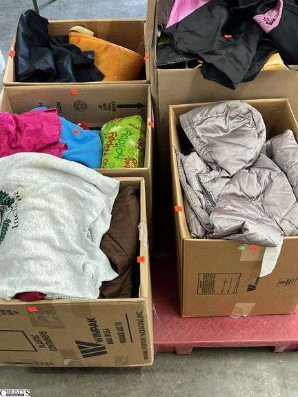Skid of 5 Boxes Soft Goods, Ladies Clothing, Shoes, Blankets - SKID NOT INCLUDED image
