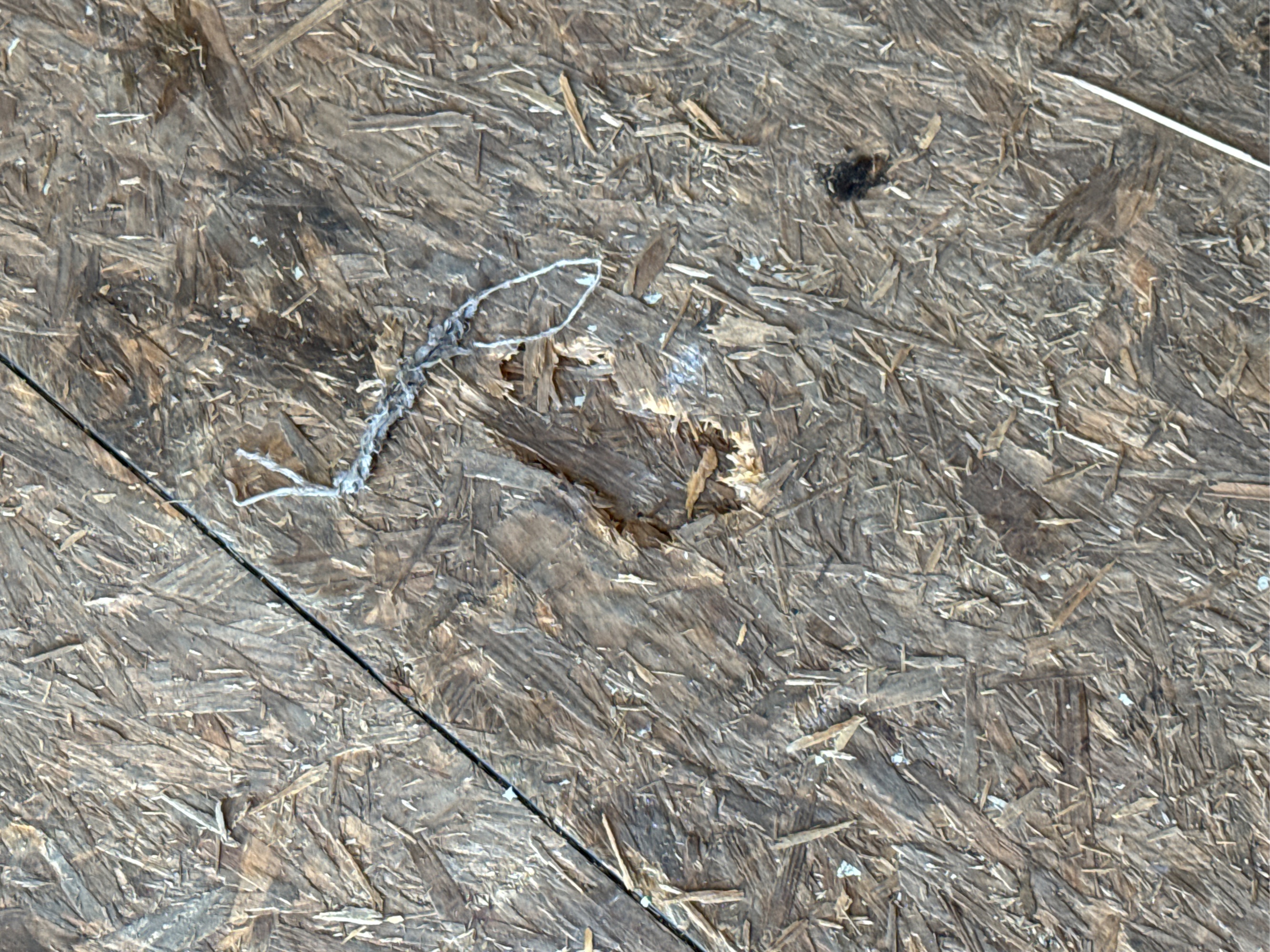 Lot image 9