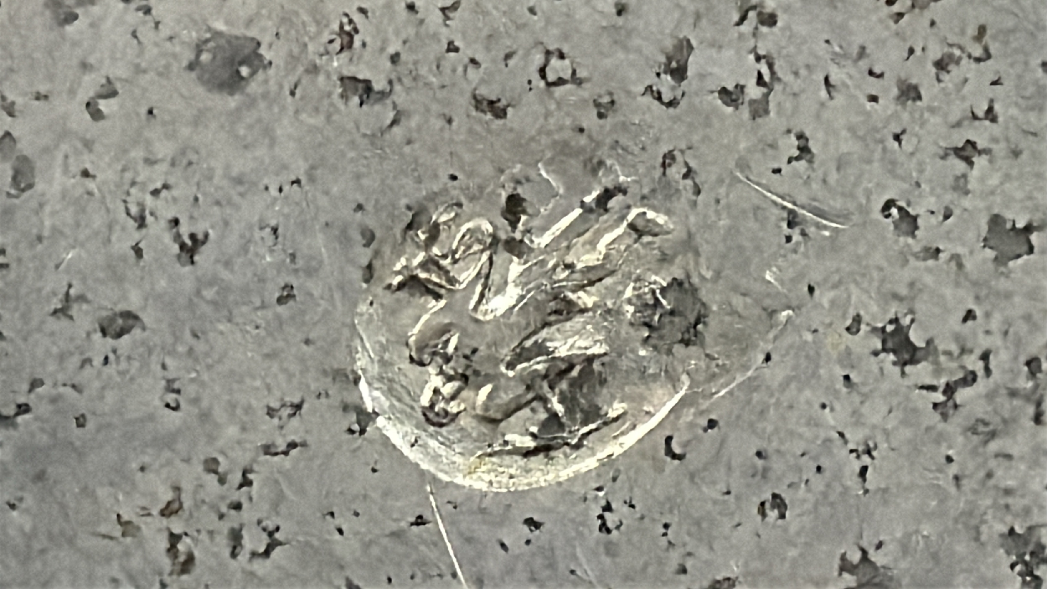 Lot image 18