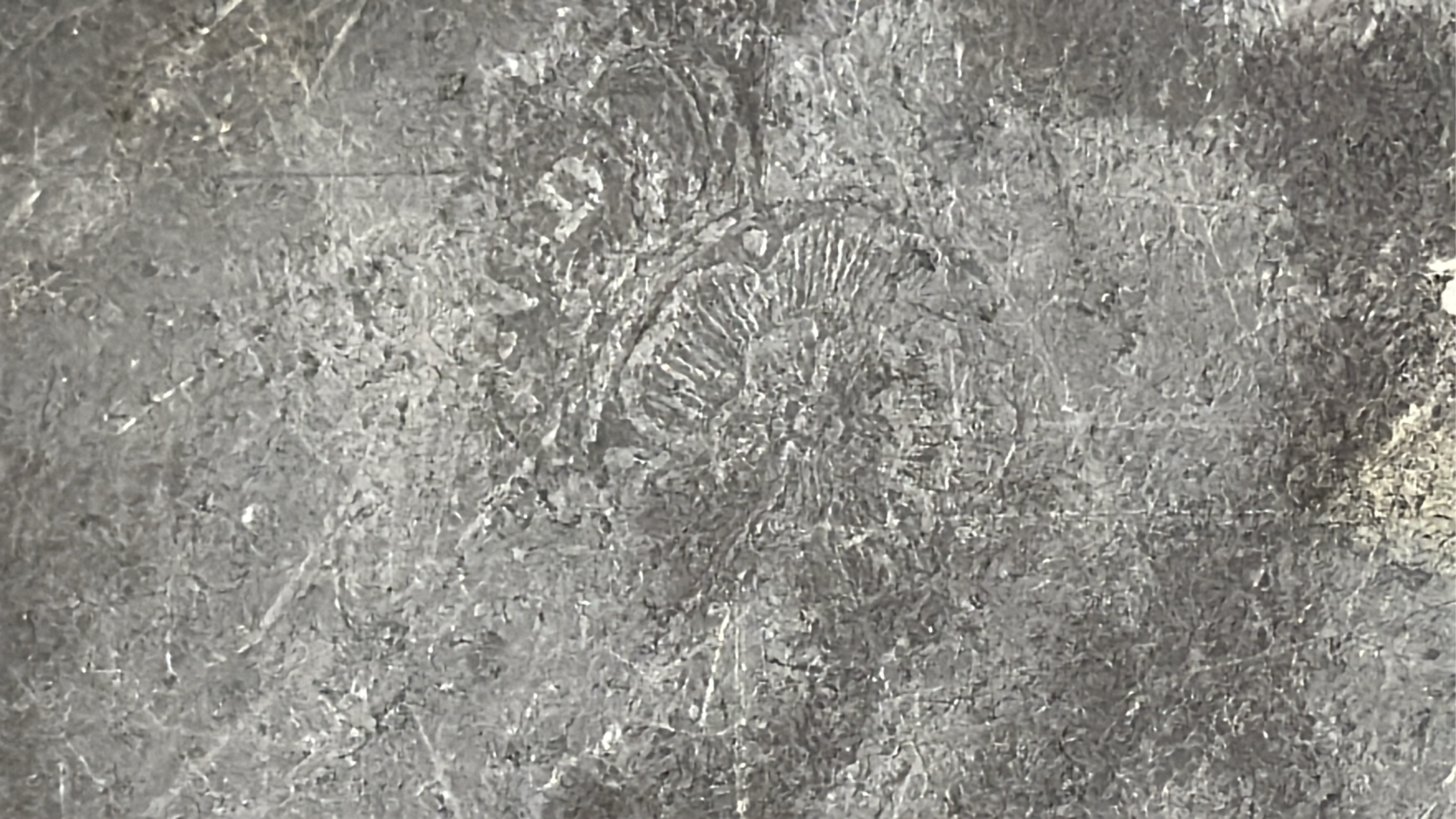 Lot image 6