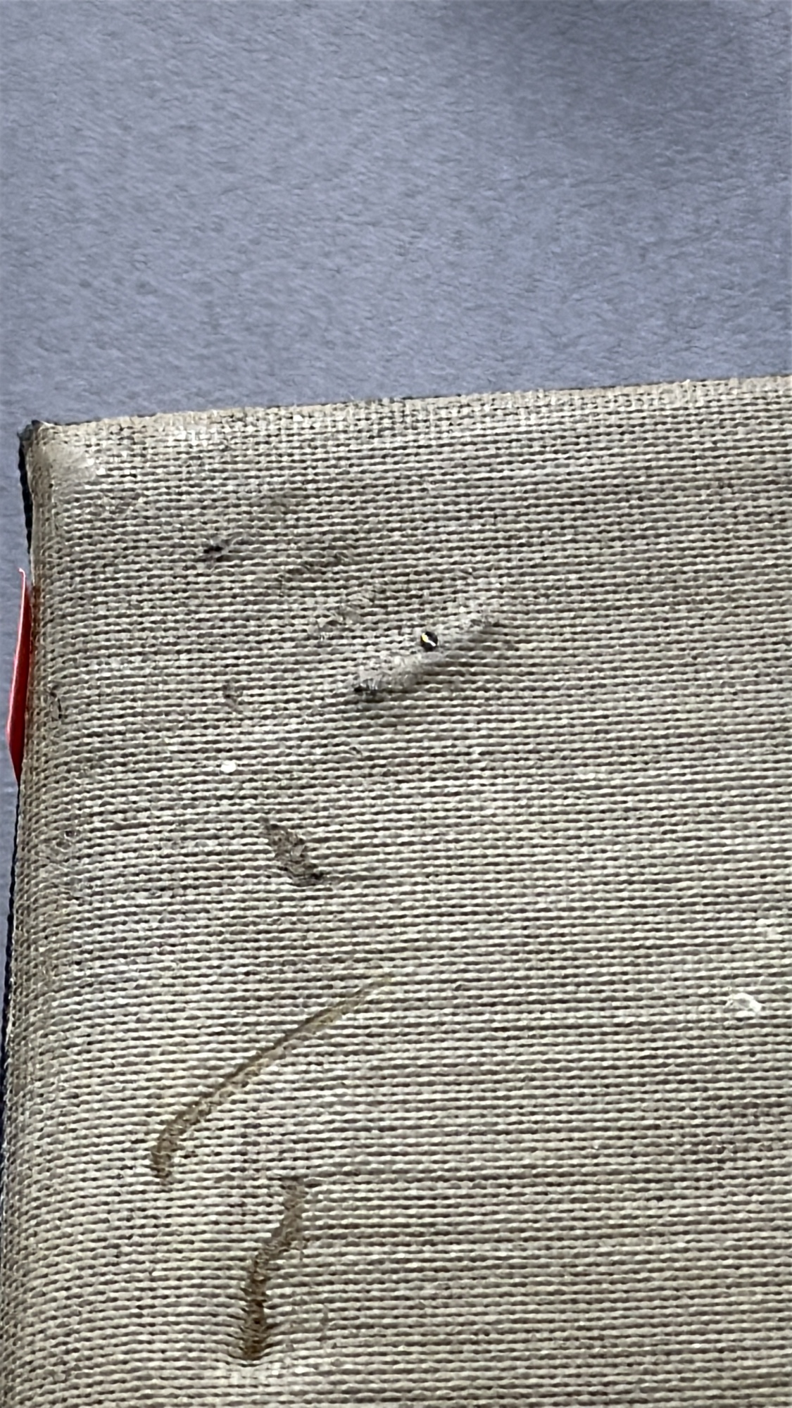 Lot image 3