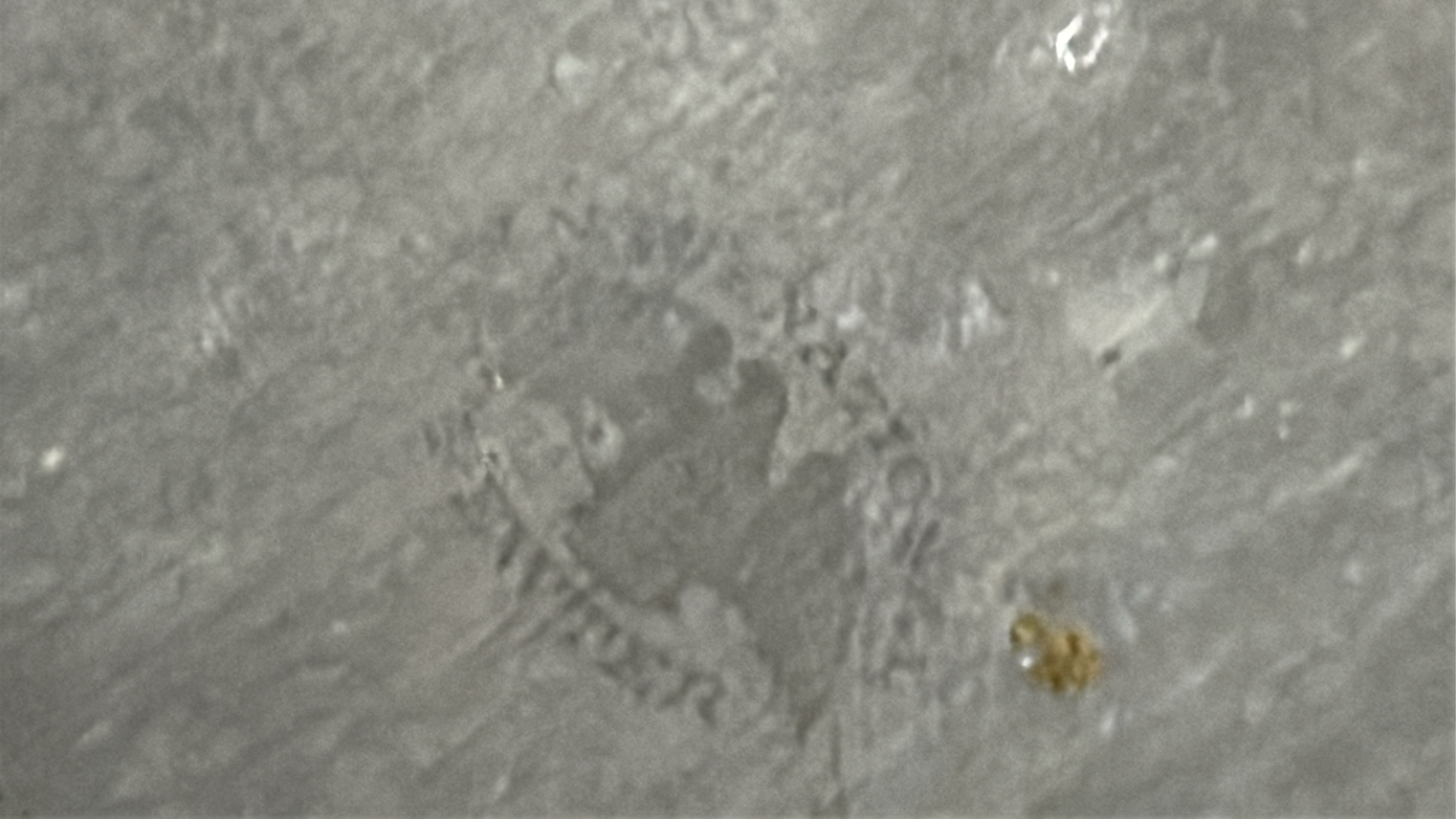 Lot image 5