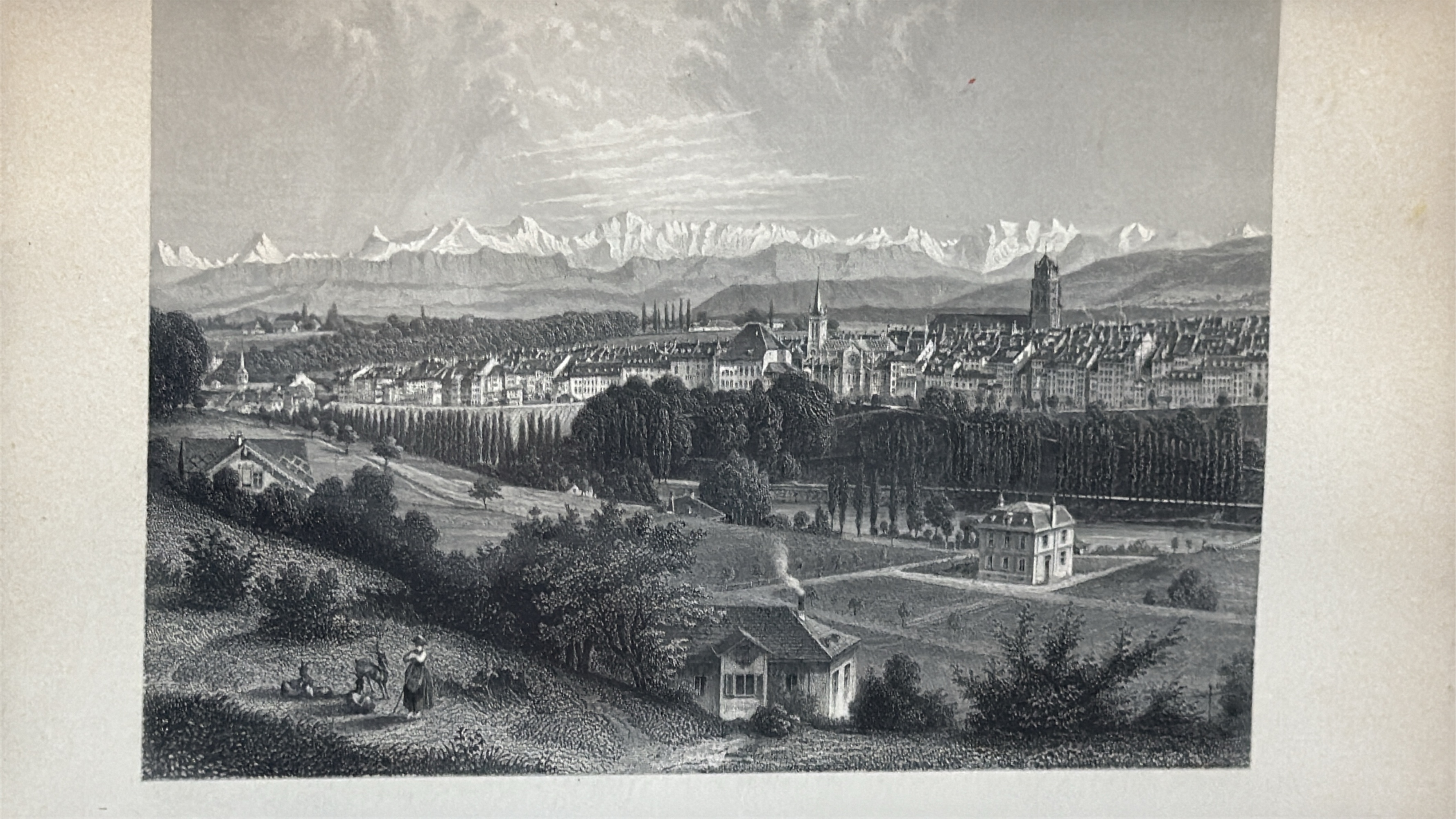 Lot image 3