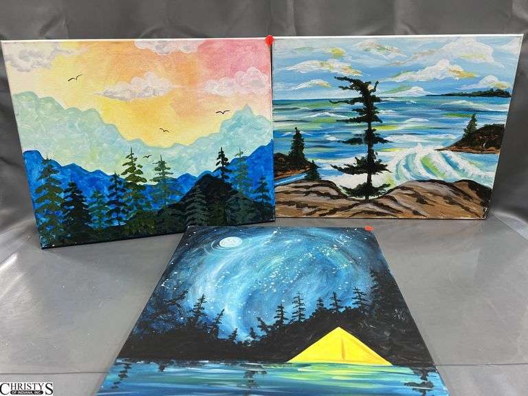 10 Painting Party Canvases, Floral Horns, Dream Catchers, Landscapes, Sunsets Each Measures 16x20"