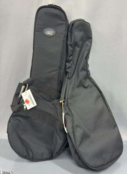2 Mandolin Gig Bags