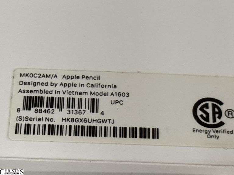 2 Used Apple Pins Untested