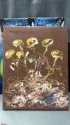 7 Pcs of Art On Canvas and Print, Largest Measures 20x25.5"
