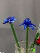 Glass Flower Stems, Etched Vase and Basket Tallest 19"