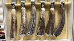 Stag Handle Flatware, James Duncan In Case, H. Morton
