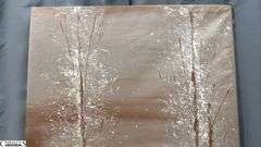 Samuel Tinoco Trees #37, Acrylic Painting on Canvas, Measures 36x55"