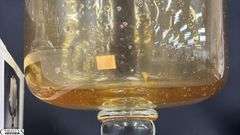 Seeded Amber Colored Glass Sconces and Royal Limited Candle Garden In Box, Pair Measures 7x9" Tall