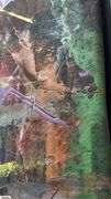 Abstract by Gigi, Acrylic Painting on Canvas, Measures 36x55"