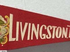 2 Pennants.  Chicago Railroad Fair "I Was There" 1949 and a Livingston, Tennessee Fishing Pennant