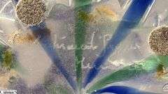 Pair of Blue and Green Hand Made Vases, Signed Archimede Seguso, Tallest 13.5"