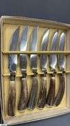 Stag Handle Flatware, James Duncan In Case, H. Morton
