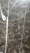 Samuel Tinoco Trees #35, Acrylic Painting on Canvas, Measures 34x52"