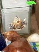 Vase Fillers, Shells, Sand Dollars, Glass Fish and Hearts