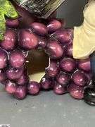 Wine Decor, Lighted Bottles, Bottle Holders, Faux Grapes, Wall Art