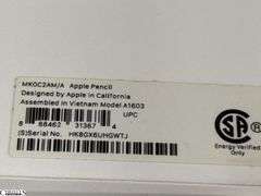 2 Used Apple Pins Untested
