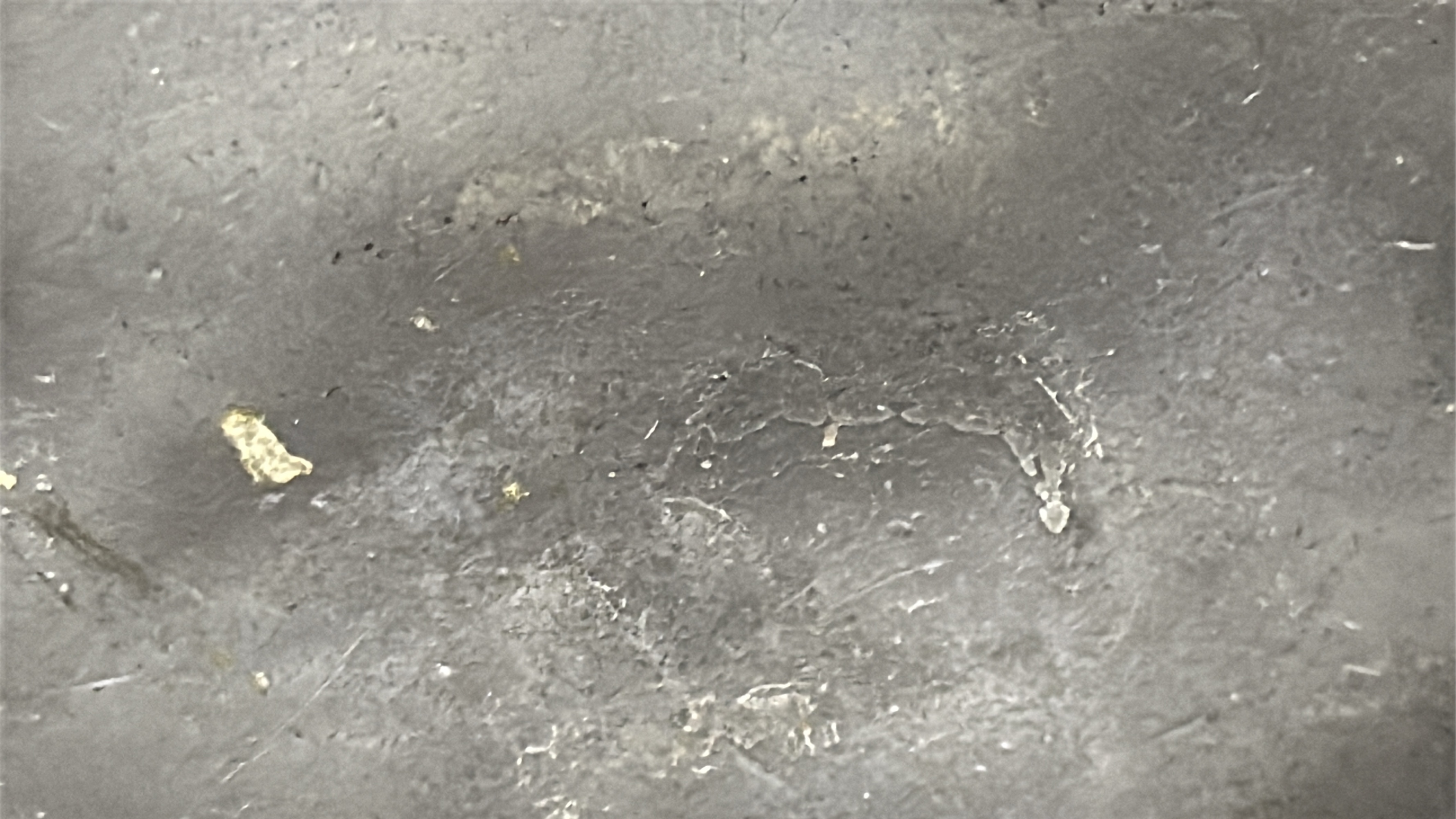 Lot image 14