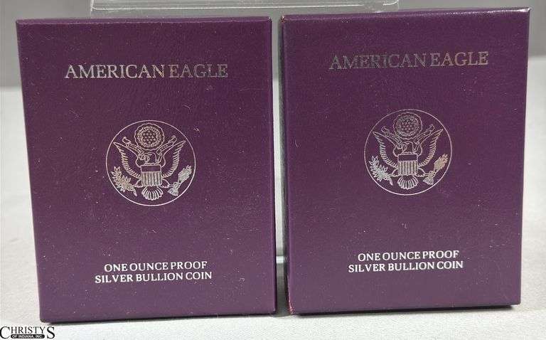 Two 1991 American Eagle Once Ounce Proof Silver Bullion Coins in Velvet Display and Box with COA. image