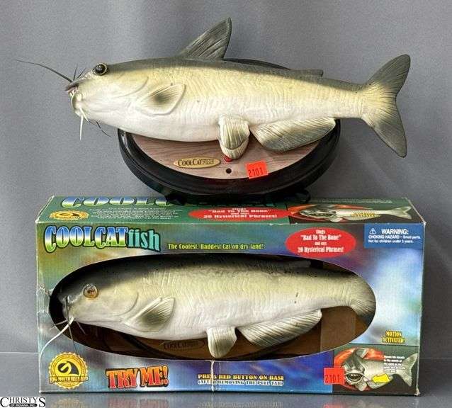 2 Cool Cat Fish One in Box image