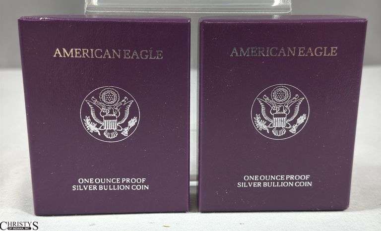 1993 & 1991 American Eagle Once Ounce Proof Silver Bullion Coins in Velvet Display and Box with COA. image