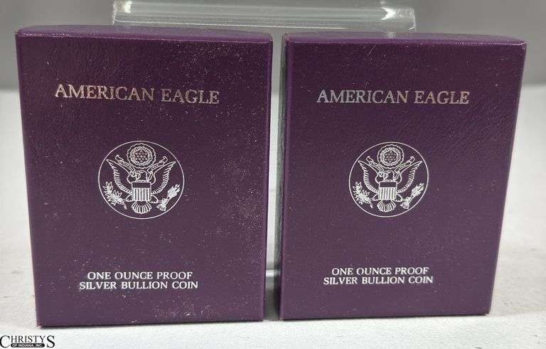 Two 1989 American Eagle Once Ounce Proof Silver Bullion Coins in Velvet Display and Box with COA. image