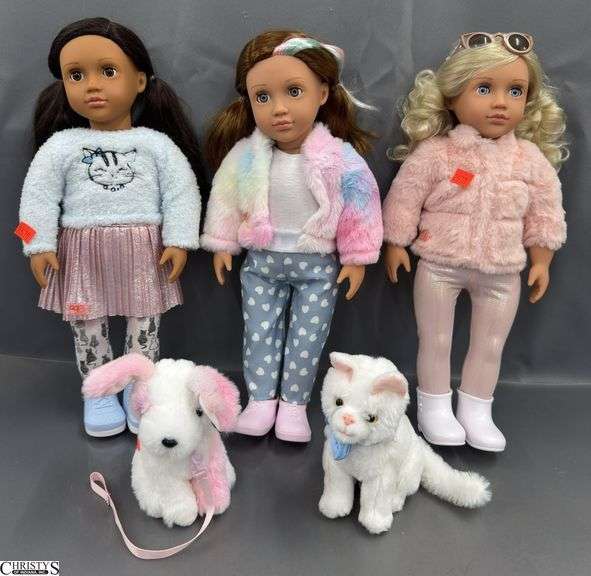 Floral Storage Bin With Three Our Generation 18" Dolls, and Pup and Kitten Pets image