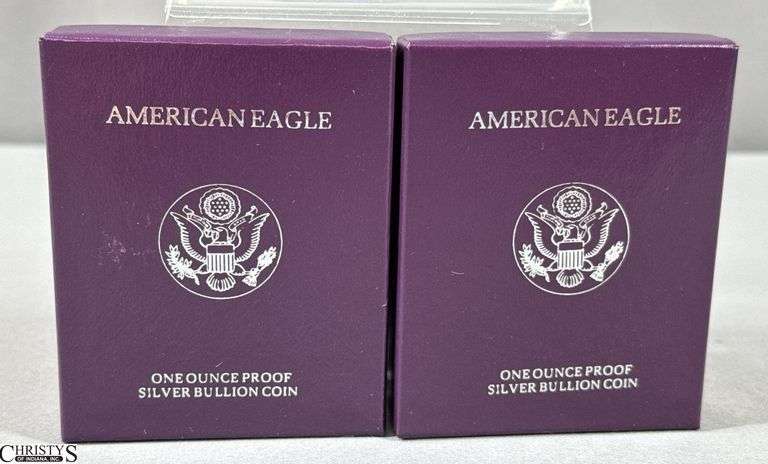 Two1993 American Eagle Once Ounce Proof Silver Bullion Coins in Velvet Display and Box with COA. image