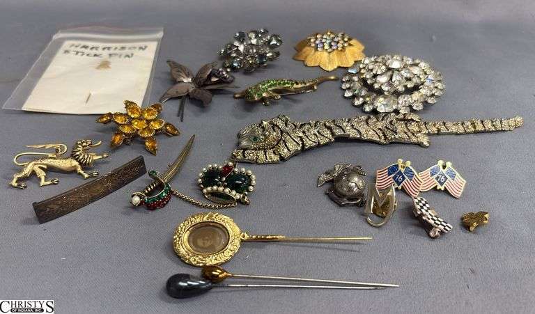 17 Fashion Pins.  Includes a Vintage Girl Scout Pin image