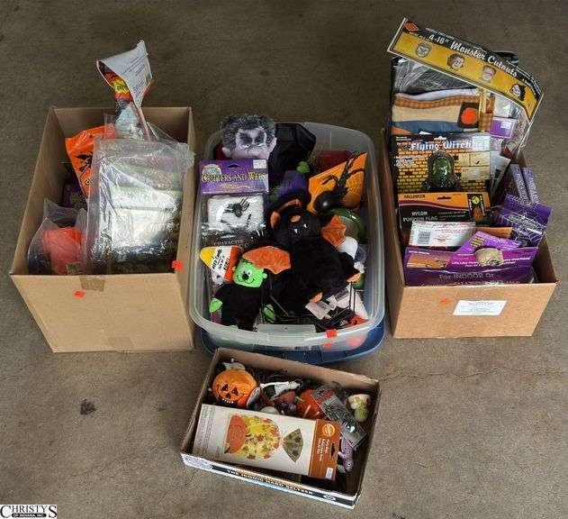 Large Lot of Halloween Decor Plush, Flag, Paint a Pumpkin, Other Toys image