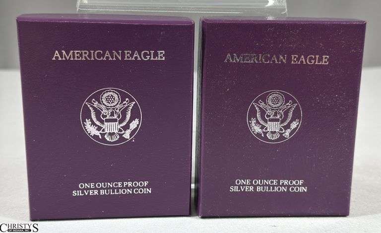 1990 & 1989 American Eagle Once Ounce Proof Silver Bullion Coins in Velvet Display and Box with COA. image